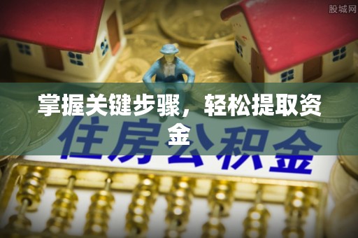 浑南掌握关键步骤，轻松提取资金