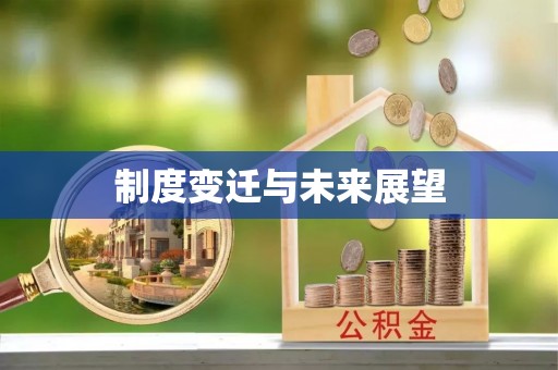 浑南制度变迁与未来展望