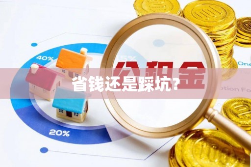 浑南省钱还是踩坑？