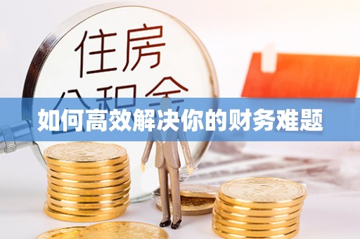 浑南如何高效解决你的财务难题