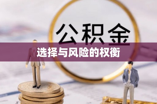 浑南选择与风险的权衡