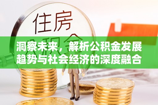 浑南洞察未来，解析公积金发展趋势与社会经济的深度融合