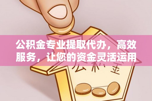 浑南公积金专业提取代办，高效服务，让您的资金灵活运用