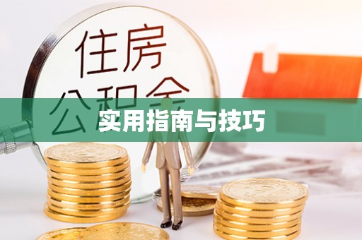 浑南实用指南与技巧