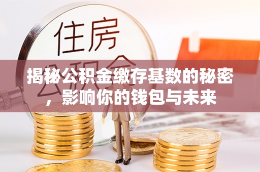 浑南揭秘公积金缴存基数的秘密，影响你的钱包与未来