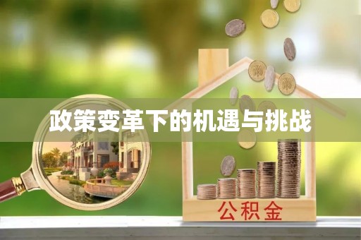 浑南政策变革下的机遇与挑战