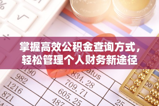 浑南掌握高效公积金查询方式，轻松管理个人财务新途径