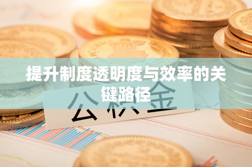 浑南提升制度透明度与效率的关键路径