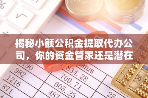 浑南揭秘小额公积金提取代办公司，你的资金管家还是潜在陷阱？