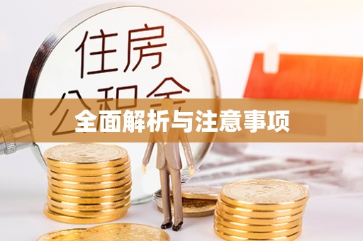 浑南全面解析与注意事项