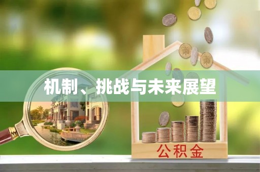 浑南机制、挑战与未来展望